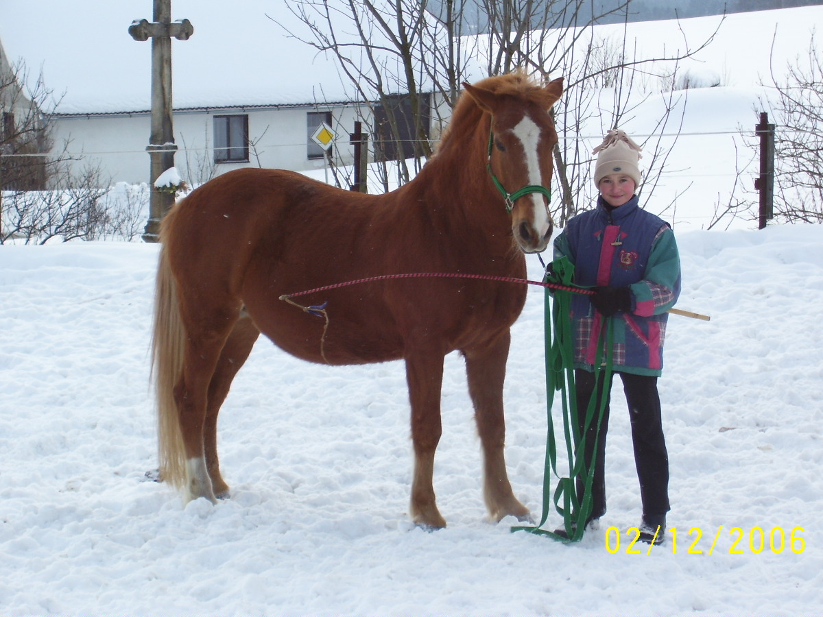 100_0418.JPG