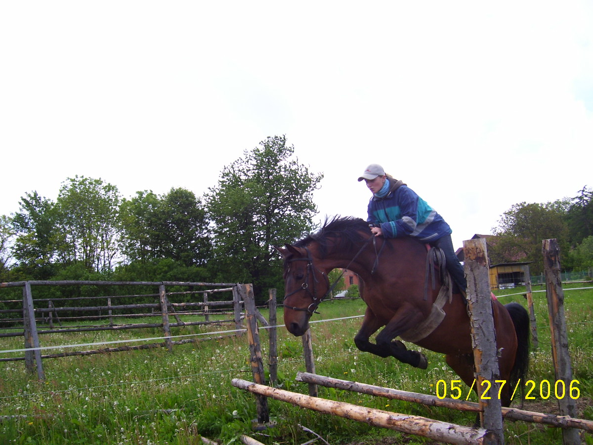 100_0647.JPG