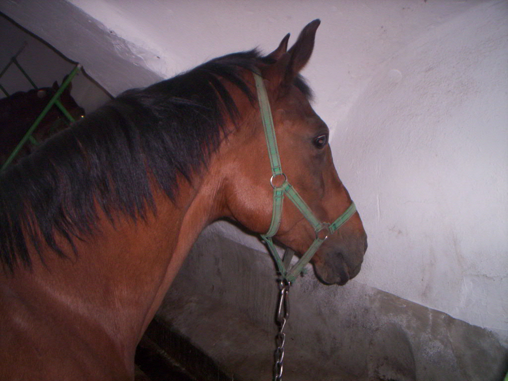 100_1676.JPG